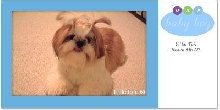 -Our baby-