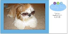 `wear sunglasses`