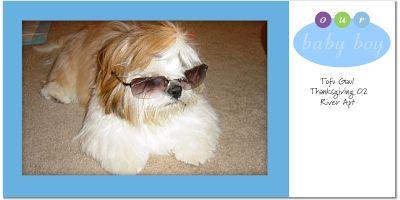 `wear sunglasses`