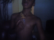 my.gecko