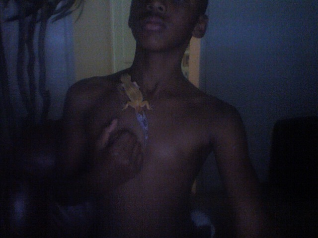 my.gecko