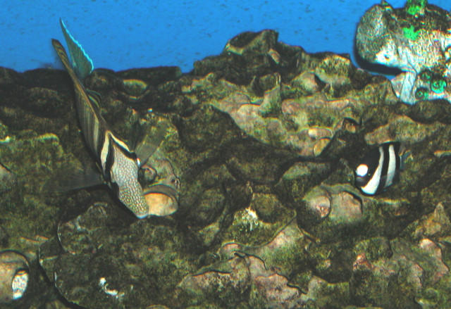 Saltwater Photos