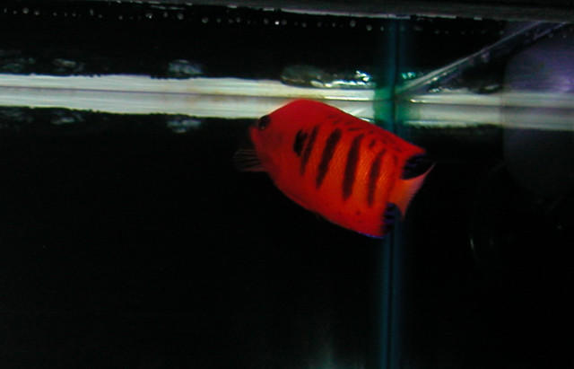 Saltwater Photos