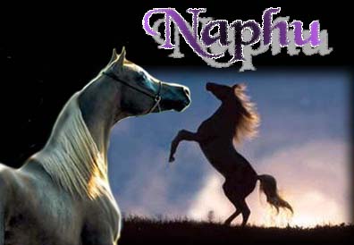 Naphu