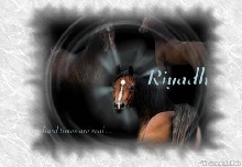 Riyadh