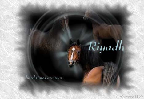 Riyadh