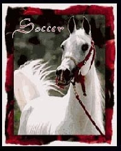 soccer
