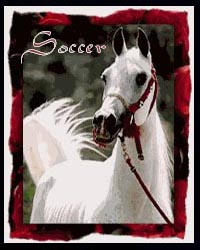soccer