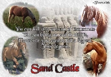 Sand Castle