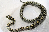 bumble bee 3333