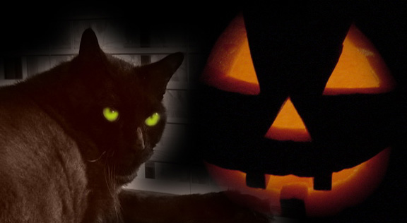 Bewitched!