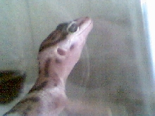up close and personal