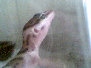 up close and personal