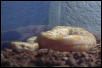 1st pic of S0L