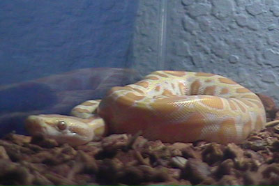 1st pic of S0L
