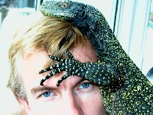 Crocky
