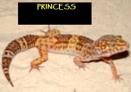 princess