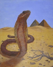 Egyptian Cobra