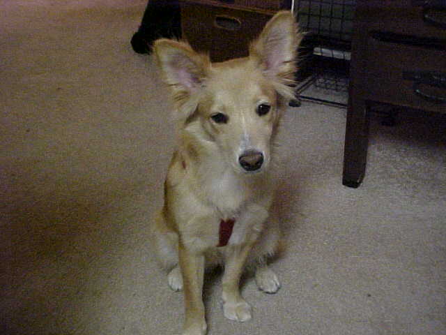 Maddie