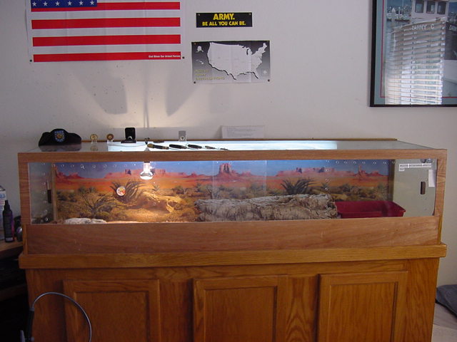 My Sav's Cage