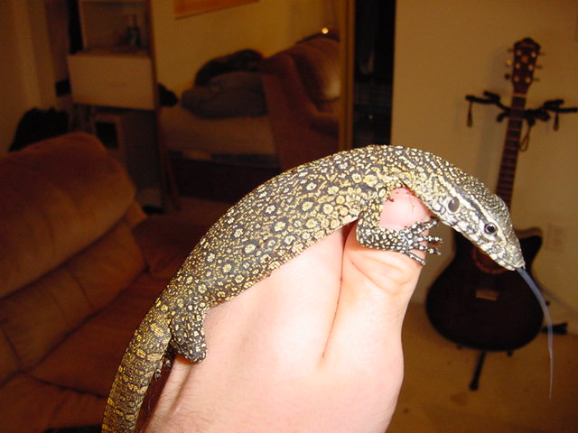 My Nile
