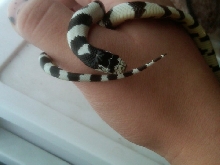 my baby