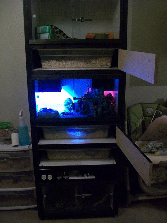 Fun rack