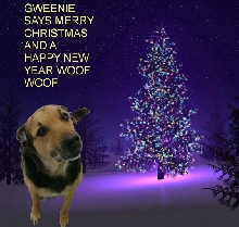 merry christmas