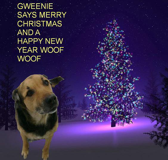 merry christmas