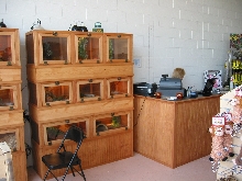 pet shop display www.cagecompany.com
