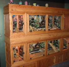 custom reptile cage collection