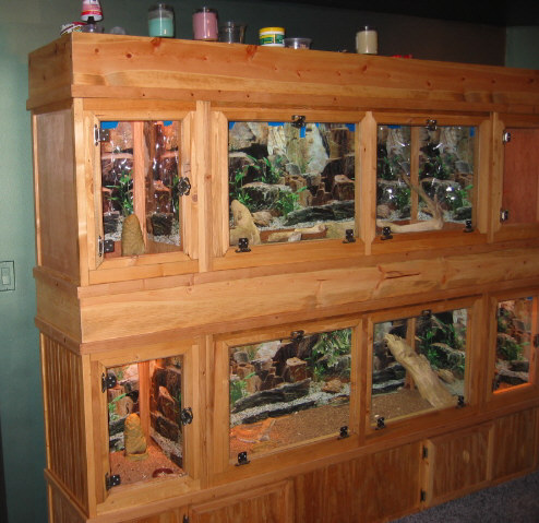 custom reptile cage collection