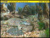 My daily live webcam ....