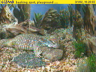 My daily live webcam ....