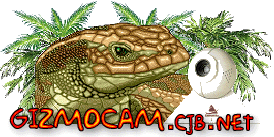 This is my website logo ...