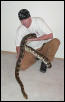 Reticulation