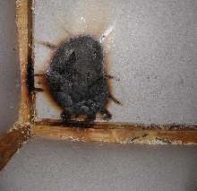 heater fire