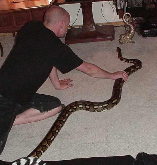 tony gettin away