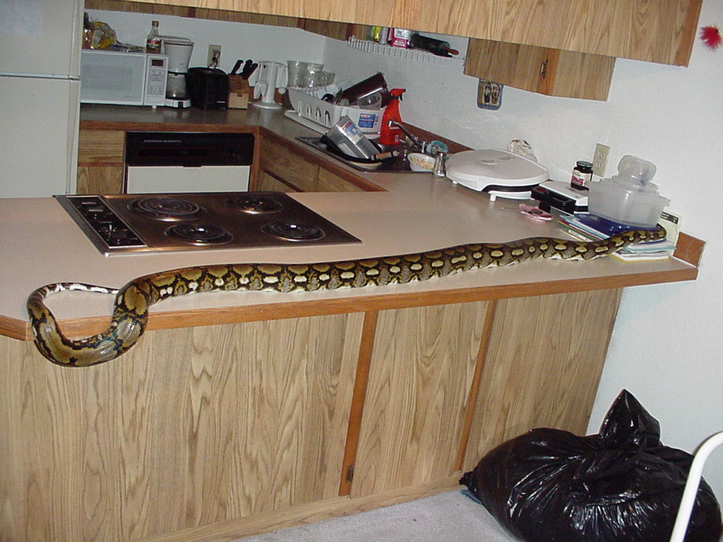 counter top