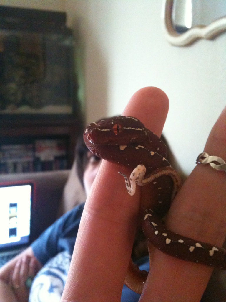 new baby!