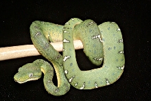 e2