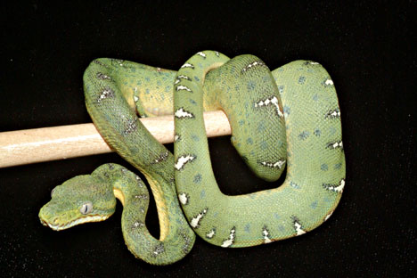 e2