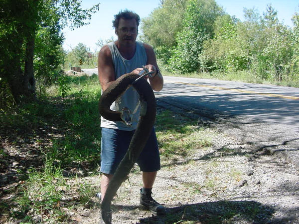phil and cottonmouth