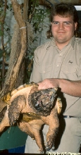 big snapper and Boo