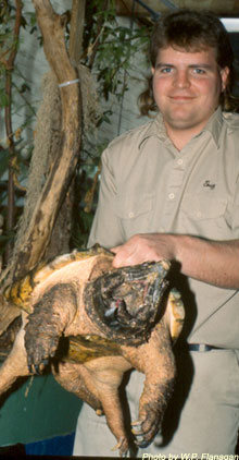 big snapper and Boo