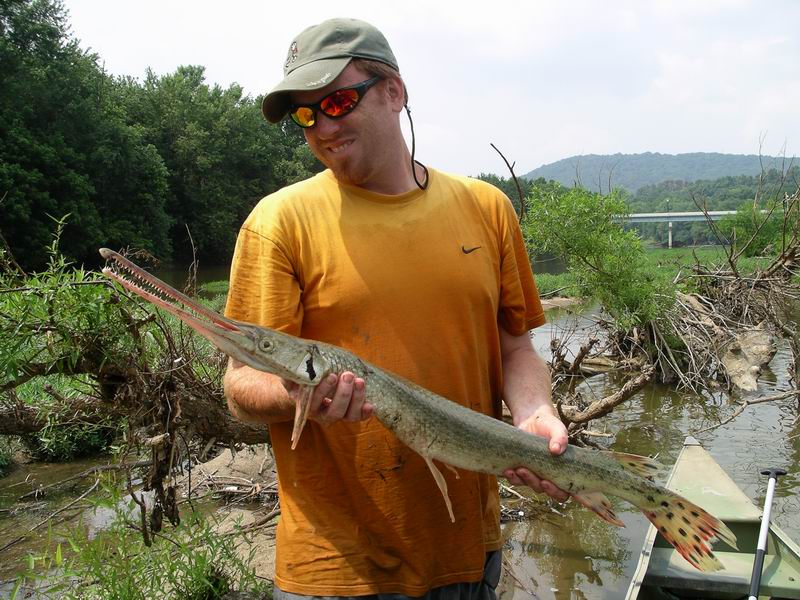 gar