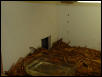 inside hide