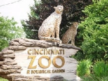 cinti zoo