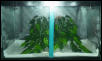 Temporary Enclosure