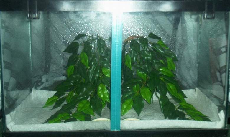 Temporary Enclosure